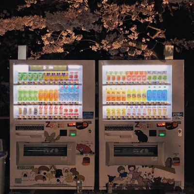 2023图片大全好看头像唯美