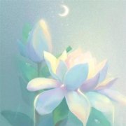 2023最漂亮的微信头像(精选10张)