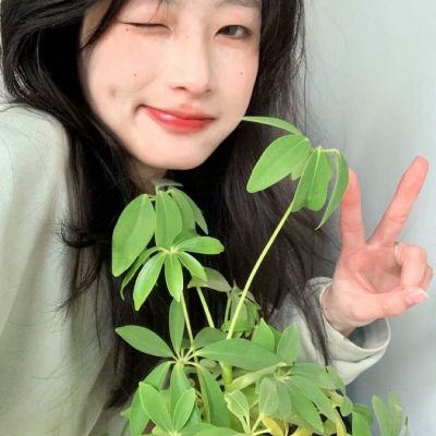 仙气飘飘女生头像森系(精选14张)