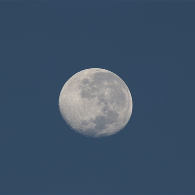 极简微信头像男(精选9张)