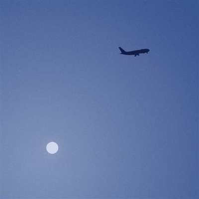 极简微信头像男(精选9张)