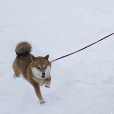 看起来毫无关系的情侣头像(精选12张)