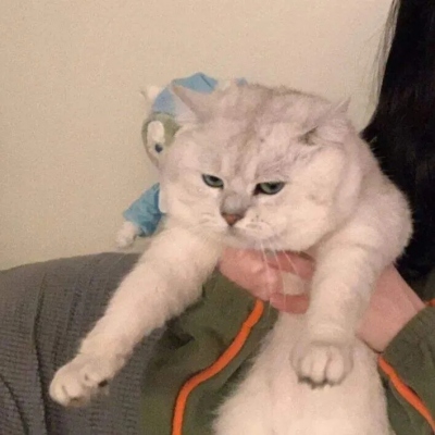 看起来毫无关系的情侣头像(精选12张)