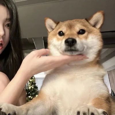 值得一辈子不换的头像搞笑(精选10张)