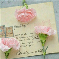 给人一种舒服的感觉的头像(精选12张)