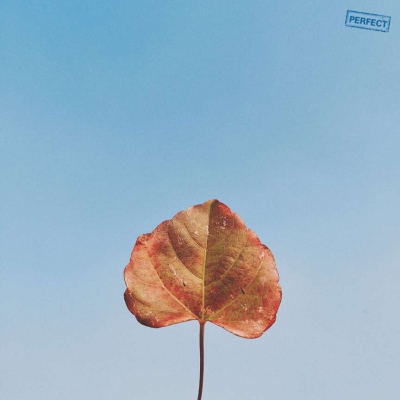 给人一种舒服的感觉的头像(精选12张)