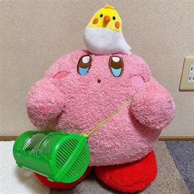 小众且怪异头像(精选12张)