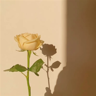 女生背景图片2023新款(精选12张)