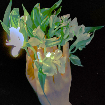 女生背景图片2023新款(精选12张)