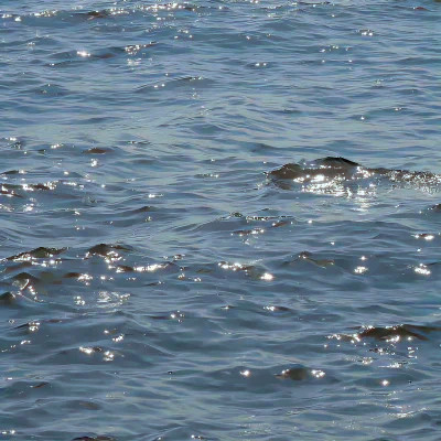 女生背景图片2023新款(精选12张)