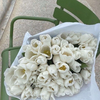 低调又高雅的微信头像