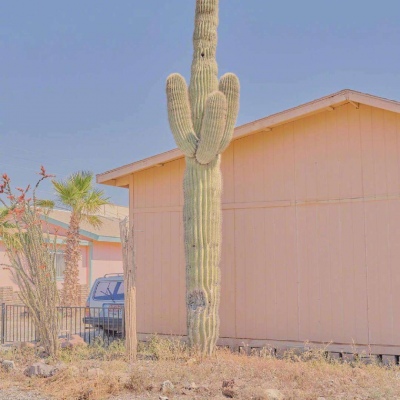 2023年创意微信头像(精选12张)