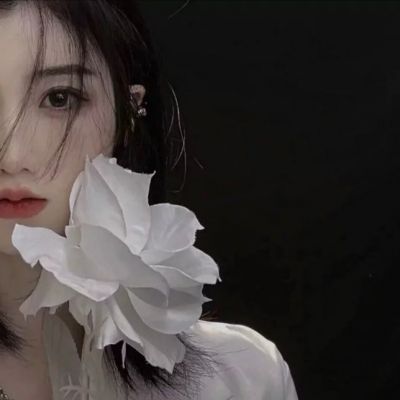 不容易撞又很治愈的头像