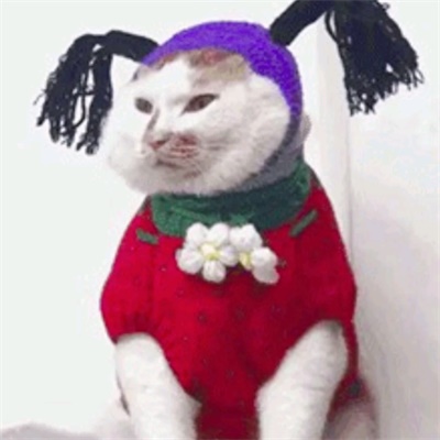 让人一看就想笑的沙雕头像(精选12张)