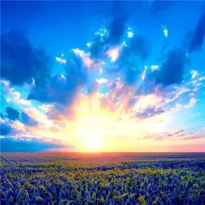 人财两旺的图片微信头像(精选12张)