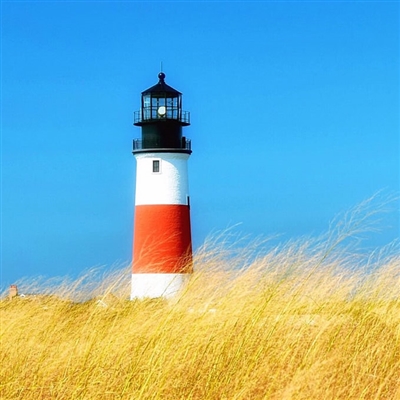 2023漂亮又好看的头像图片(精选12张)