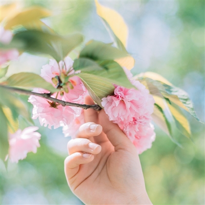 2023漂亮又好看的头像图片(精选12张)