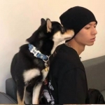 头像图片2023最火爆免费男