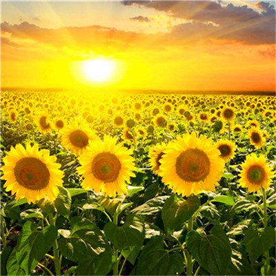 2023年最火微信头像女转好运(精选12张)