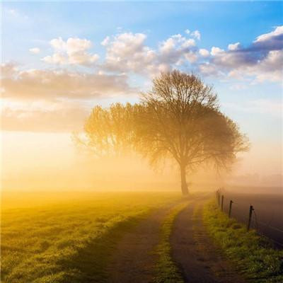 适合长期用的微信头像中年人