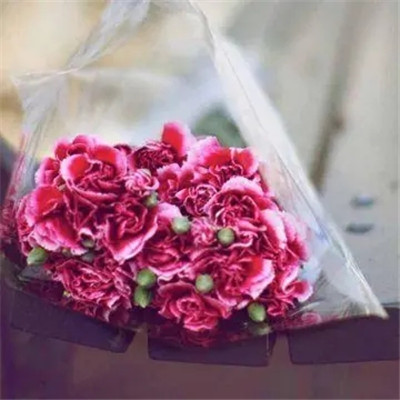 2023年适合50岁女人微信头像(精选12张)