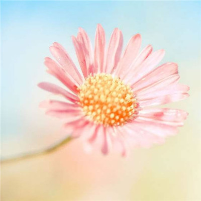 2023年适合50岁女人微信头像(精选12张)