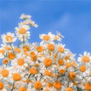 2023微信头像图片最火风景(精选12张)