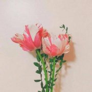 2023最新最火微信头像(24张)