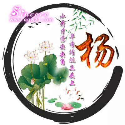 小杨氏头像图片2023最火爆