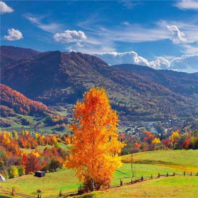 2023最火伤感微信头像(精选12张)