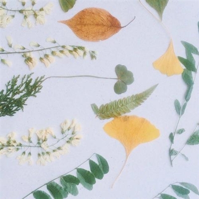 2023年最火40岁头像