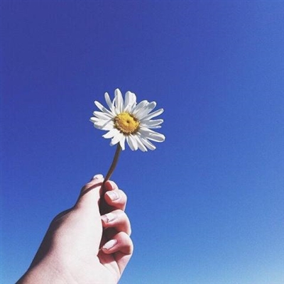 第一眼就吸引人的图片风景头像