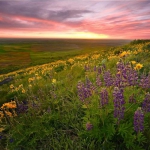 30一40岁女人微信头像风景(精选16张)