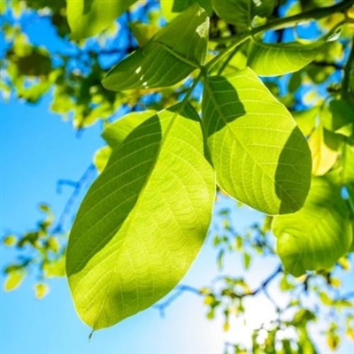 一生好运的女人微信头像(精选10张)