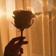 高端有品位的微信头像(精选16张)