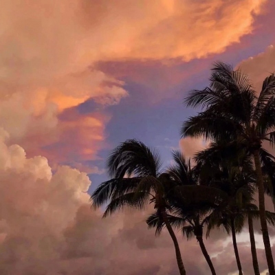 高端有品位的微信头像(精选16张)