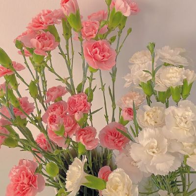 一生好运的女人微信头像(精选15张)