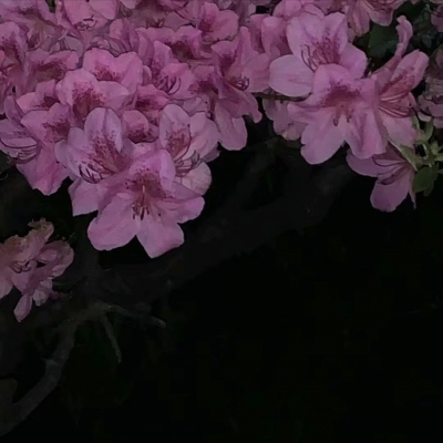 2023最成熟的微信头像(精选16张)