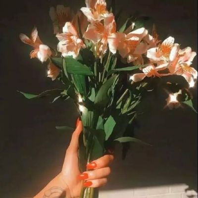 2023最成熟的微信头像(精选16张)