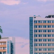 微信头像2023独一无二女(精选16张)