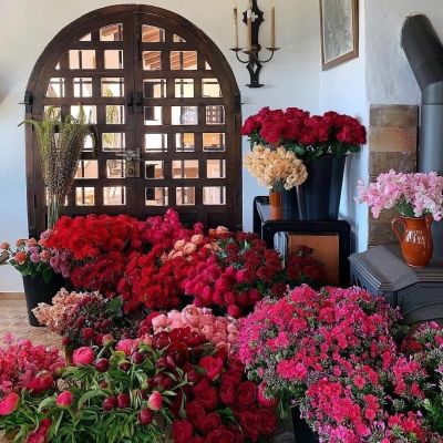 2023最美微信头像(精选16张)