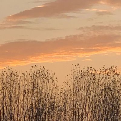 吸引人的视频号头像(精选16张)