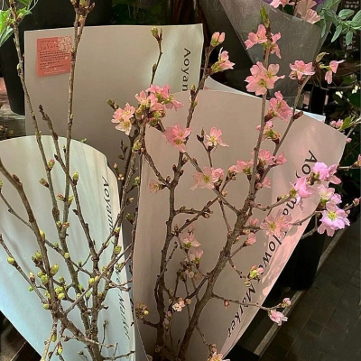 超级引人注目的头像(精选16张)