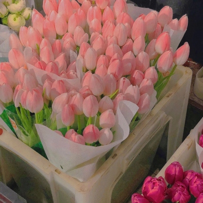 引人注意特殊女生头像(精选16张)