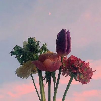 让人眼前一亮的唯美头像(精选15张)