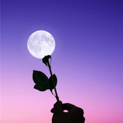 让人耳目一新的头像(精选15张)