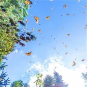 简单干净好看微信头像(精选42张)