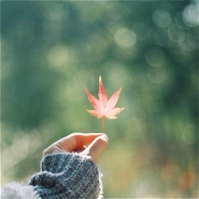 简单干净好看微信头像(精选42张)