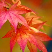 简单干净好看微信头像(精选42张)