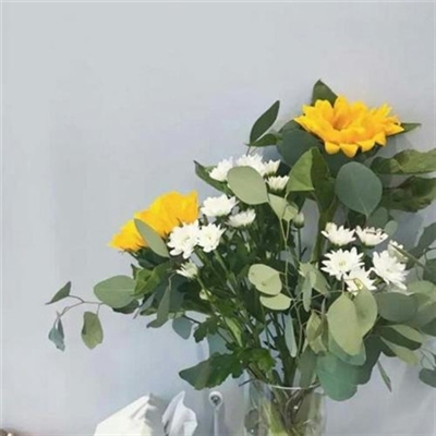 简单干净好看微信头像(精选42张)